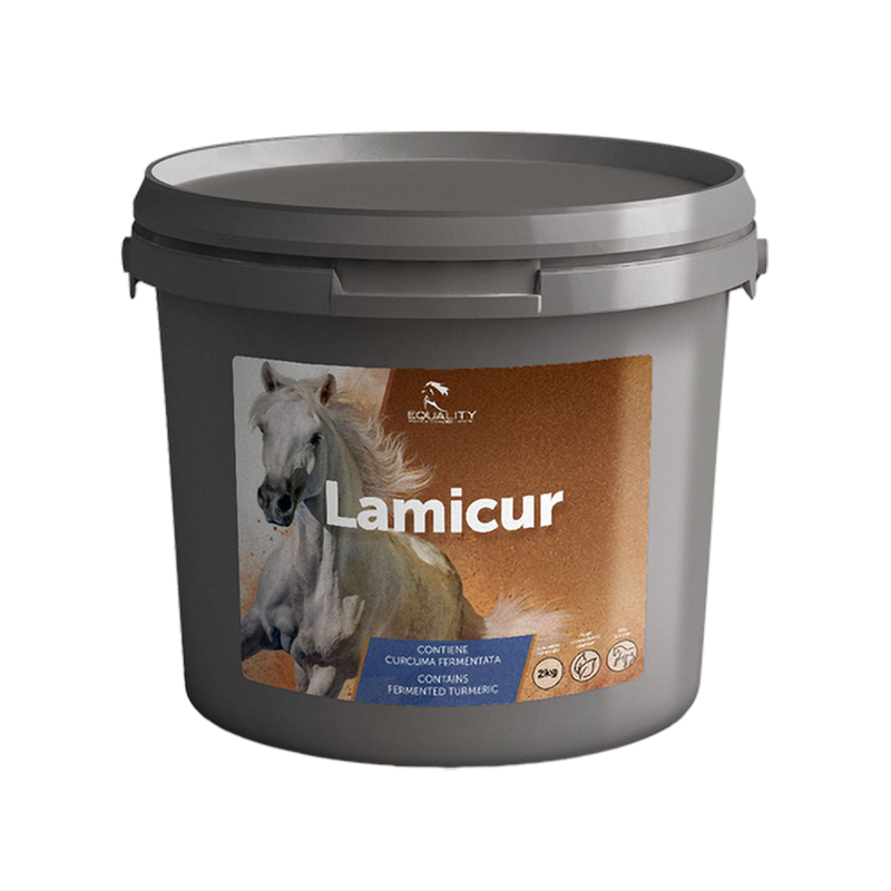 LAMICUR 2KG